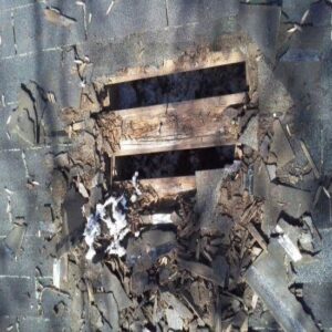 Our Home and Garden: The 5-Year Plan Image